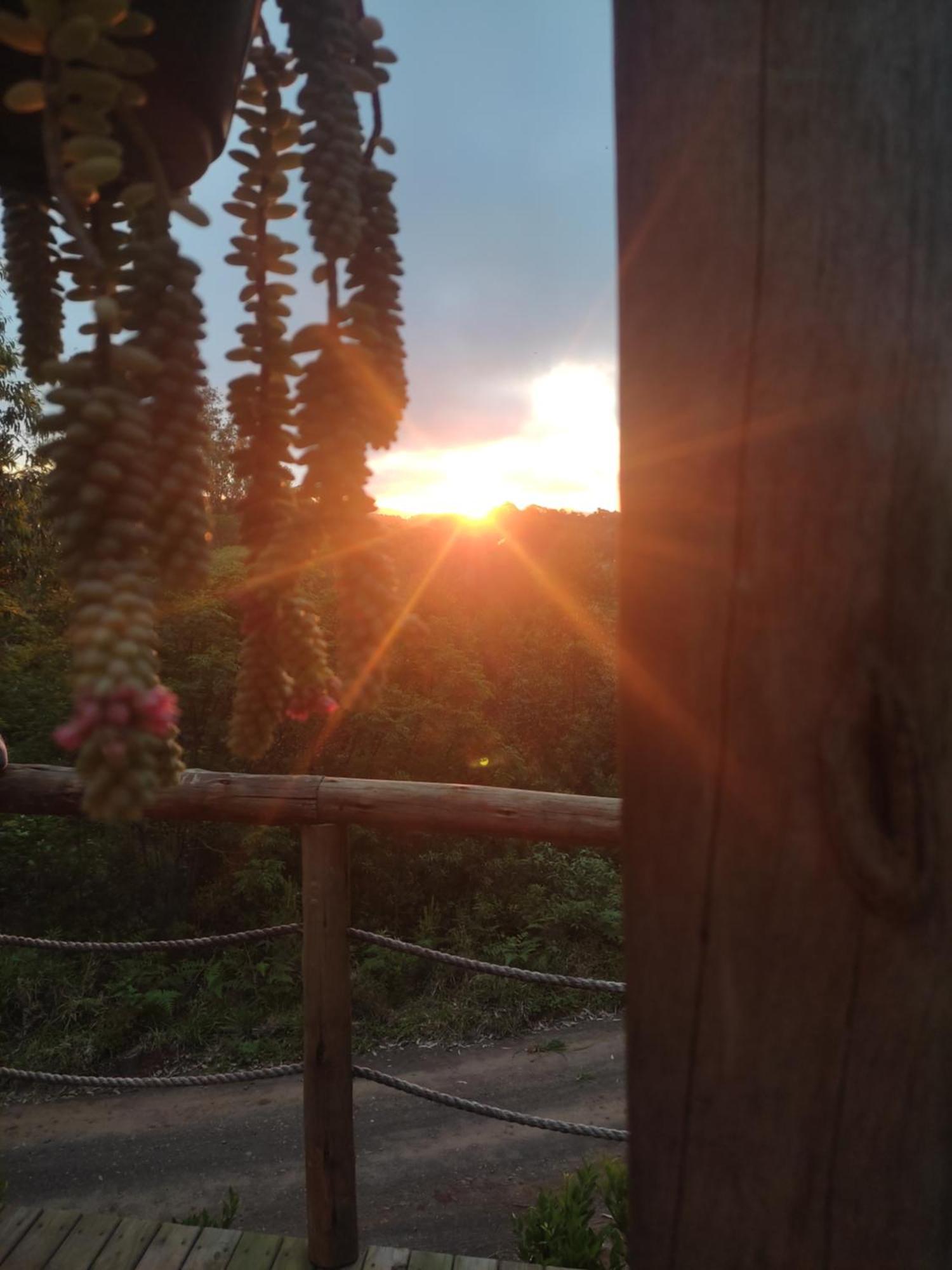Cabana Rustica Logcabin Osorio Exteriér fotografie